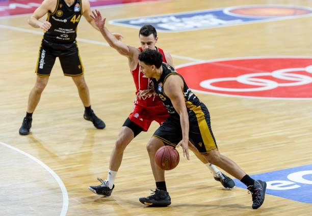 稳定的大局 稳定的大局