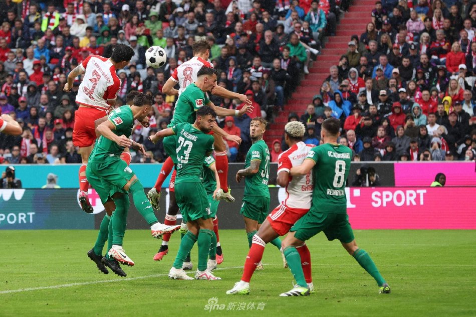 球队管理层 球队管理层